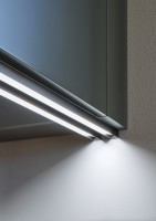 MICRO-HG Profile