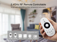 2.4GHz Dual White LED Controller