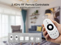 2.4GHz Single Color LED Controller
