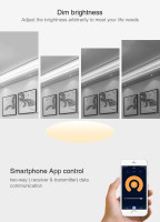 Eiinfarbiger LED Controller (WiFi+2.4GHz)