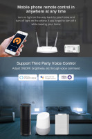 Eiinfarbiger LED Controller (WiFi+2.4GHz)